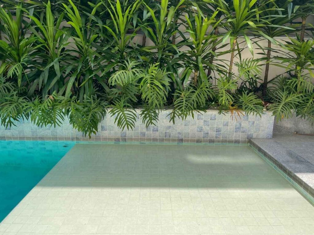 Uliving-Conx, VBI, Uliving Brasil